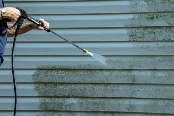 Best Driveway Pressure Washing  in Terryville, CT